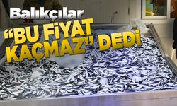 Sinop'ta hamsi fiyatı düştü