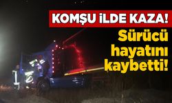 Tarlaya devrilen tırın sürücüsü hayatını kaybetti