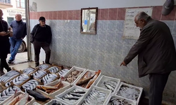 Avlanan balıkların sofralara yolculuğu mezatla başlıyor