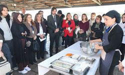 Sinop'un turizm potansiyeline akademik inceleme