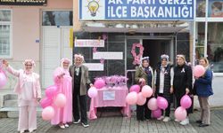 AK Parti Gerze’den meme kanseri farkındalığı