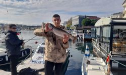Sinop’ta amatör balıkçının oltasına takılan balık şaşırttı