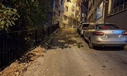 Mahallelinin korkuluk talebi karşılık buldu