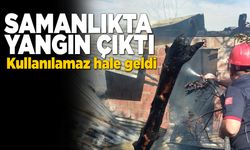 Sinop'ta samanlık yangını