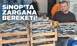 Sinop'ta zargana avı yüz güldürdü