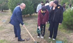 İlçede anlamlı etkinlik: Fidanlar toprakla buluştu