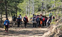 Sinop Orman Spor Dağcılık Kulübü’nden doğa yürüyüşü