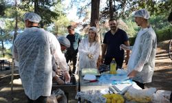 Gerze MYO’da hamsi şenliği coşkusu