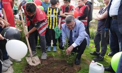 Sinop’ta şehitler anısına fidan dikildi