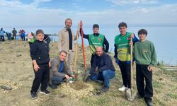 İlçelerde fidanlar toprakla buluşturuldu