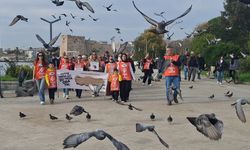 Sinop TEMA Vakfından “Toprağa Saygı” yürüyüşü