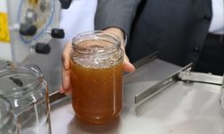 Bal dolum ve paketleme tesisi hizmete açıldı