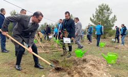 İlçelerde fidanlar toprakla buluşturuldu