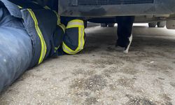 Minibüsün motoruna sıkışan kedi yavrusu kurtarıldı