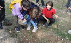 Okul öğrencilerine fidan dağıtıldı