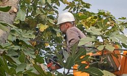 Park ve bahçelerde temizlik yapıldı