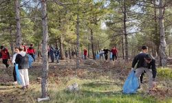 Sınıfı ormana taşıdılar