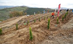 37 bin 380 fidan toprakla buluşacak