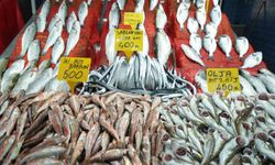 Balık fiyatlarında son durum
