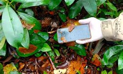 Dere yatağında ölü bulunan anneye ait cep telefonu da bulundu