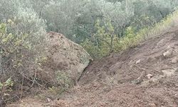 Düşen kaya parçası toprak kaymasına sebep oldu