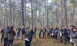 Ekipler sağlıklı ormanlar için sahada