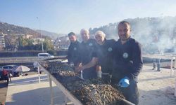 Hamsi bolluğu festivale döndü