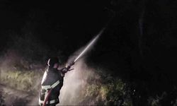 Kastamonu'da orman yangını