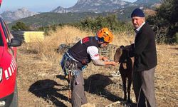 Kayaya sıkışan keçiye kurtarma operasyonu