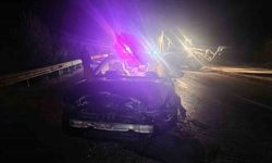 Makam aracı domuz sürüsüne çarptı: Başkan kazayı yara almadan atlattı