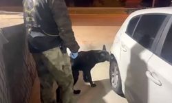 Narkotik köpeği bagajdaki uyuşturucuyu buldu