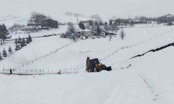 Ordu’da karla mücadele çalışmaları başladı