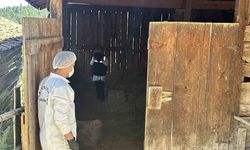 Samanlıkta cinayetinde yargılama devam ediyor