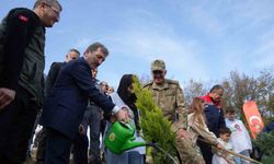 Samsun’da 37 bin 380 adet fidan toprakla buluştu