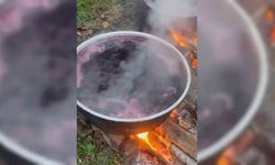 Sinop köylerinde kışlık pekmez mesaisi