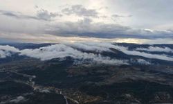 Sis ve doğa bir araya geldi