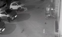 Sokak köpekleri park halindeki aracı parçaladı