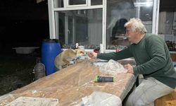 Tilki ailesi her akşam elleriyle besliyor