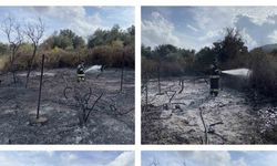 Üzüm bağları alevlere teslim oldu