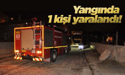 İlçede ev yangını: 1 yaralı