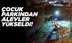 Çocuk parkında yakılan ateş tepki çekti