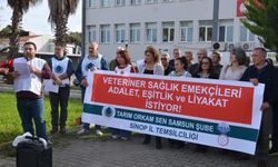 Sinop’ta veteriner hekimlerin sorunları gündeme taşındı