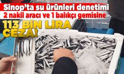 Sinop’ta balık boyu limitine uymayanlara rekor ceza