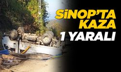 Freni boşalan araç devrildi: 1 yaralı