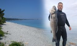 Amatör balıkçı 9 kilogramlık levrek avladı