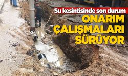 Sinop’ta ana isale hattındaki arıza tespit edildi