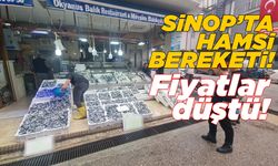 Hamsi bolluğu fiyatları düşürdü