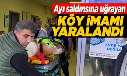 Mantar toplarken ayı saldırısına uğradı!