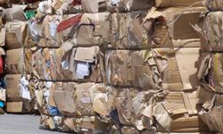 Kağıt Geri Dönüşüm ile Doğaya Katkı