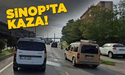 Sinop'ta yola atlayan köpek kazaya neden oldu